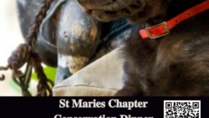 652875990_4293422654233482_7614634999542086478_n