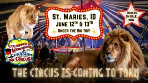 Circus 2026